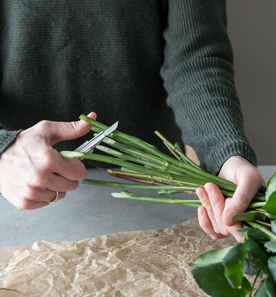 Snittekniv Snittekniv